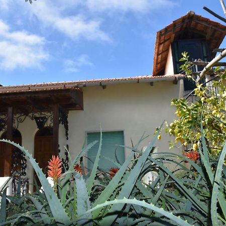 Casa Dei Limoni Lägenhet Massa Lubrense Exteriör bild