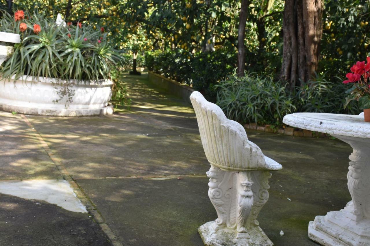Casa Dei Limoni Lägenhet Massa Lubrense Exteriör bild