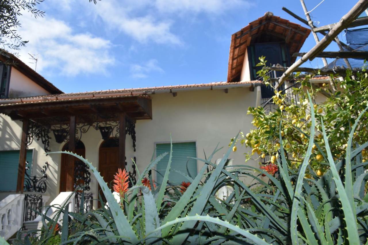 Casa Dei Limoni Lägenhet Massa Lubrense Exteriör bild