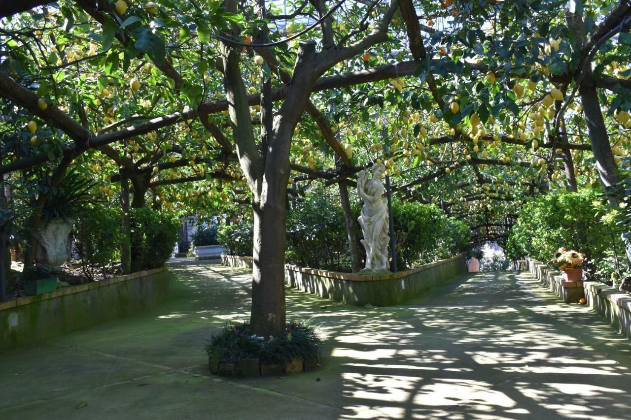 Casa Dei Limoni Lägenhet Massa Lubrense Exteriör bild