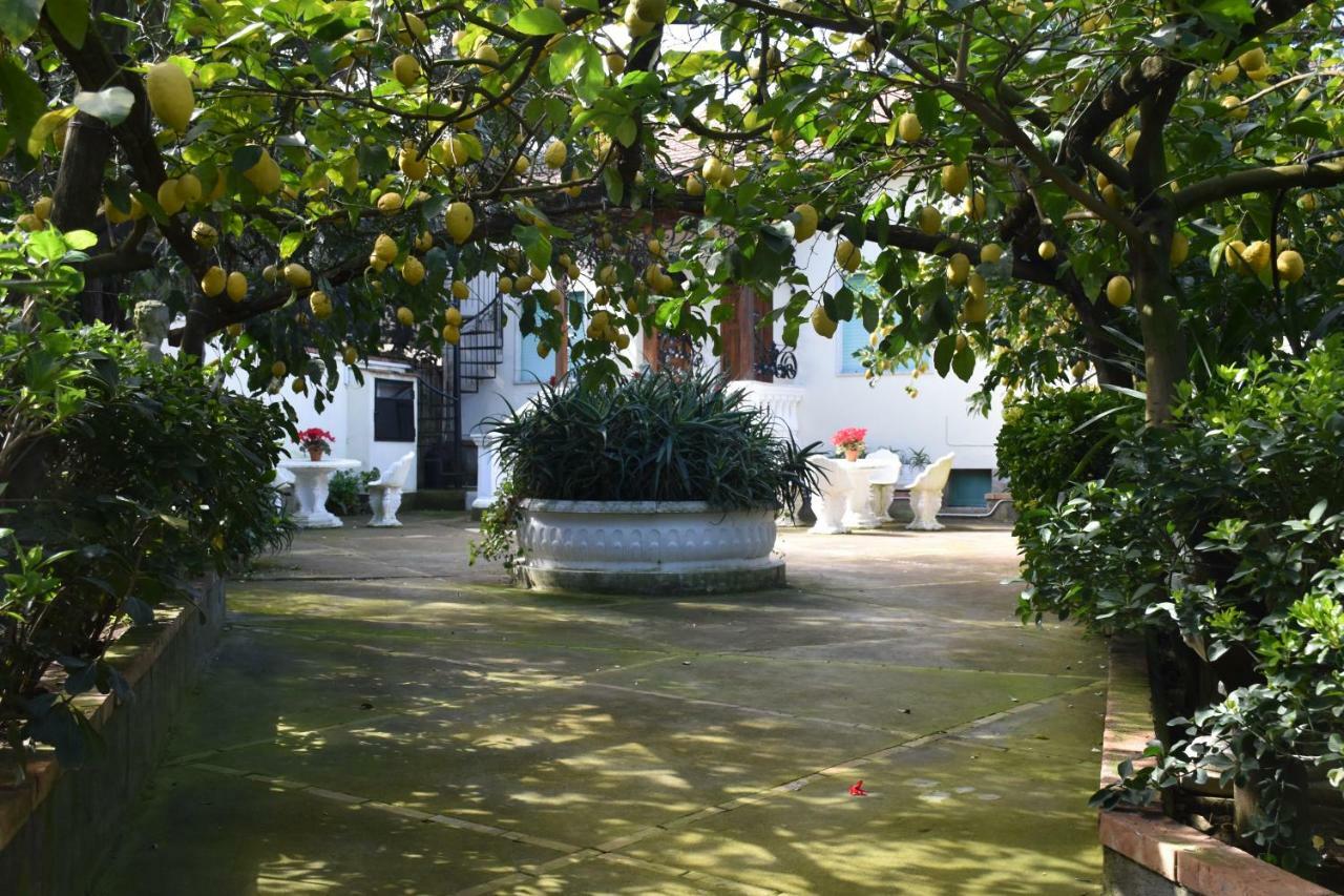 Casa Dei Limoni Lägenhet Massa Lubrense Exteriör bild