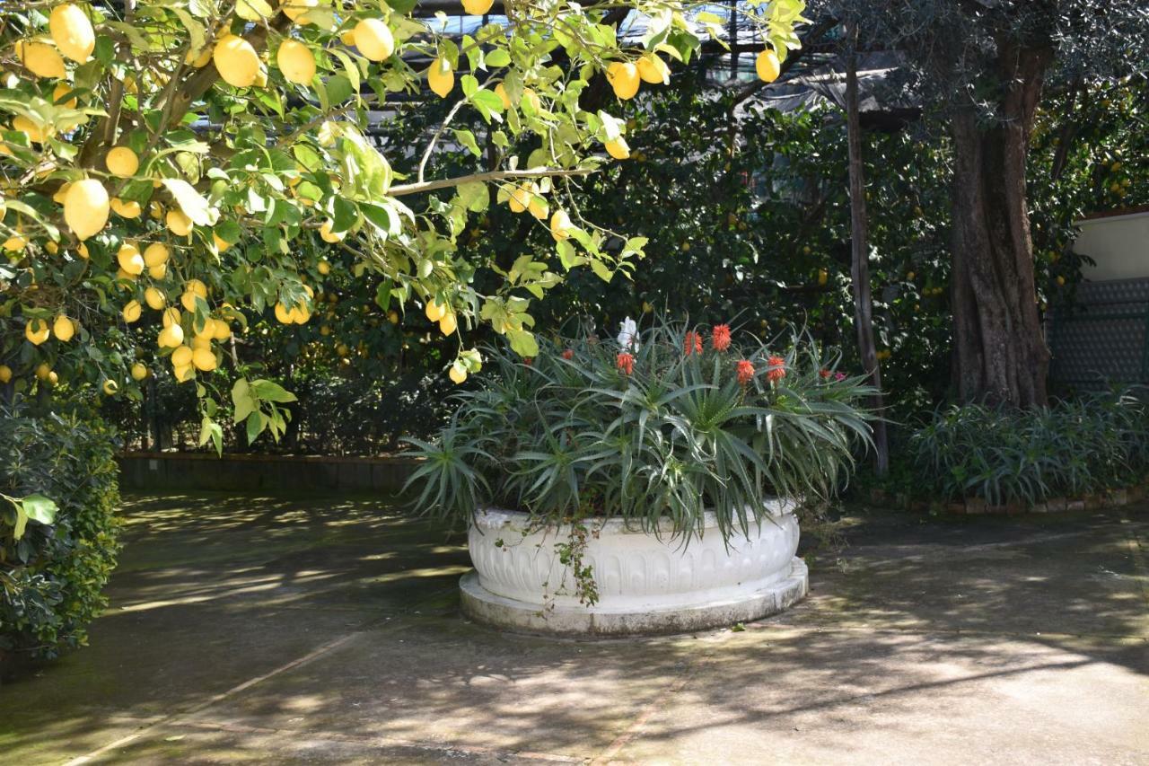 Casa Dei Limoni Lägenhet Massa Lubrense Exteriör bild